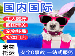 乌拉特中旗海流图空运地址国际宠物托运 【国